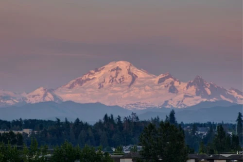 Optimal Life Service Location Langley Image