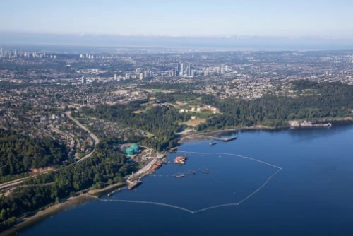 Optimal Life Service Location Tri-Cities Image