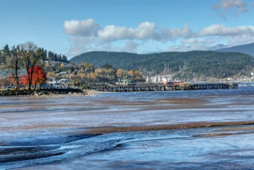 Optimal Life Service Location Tri Cities BC Image Three